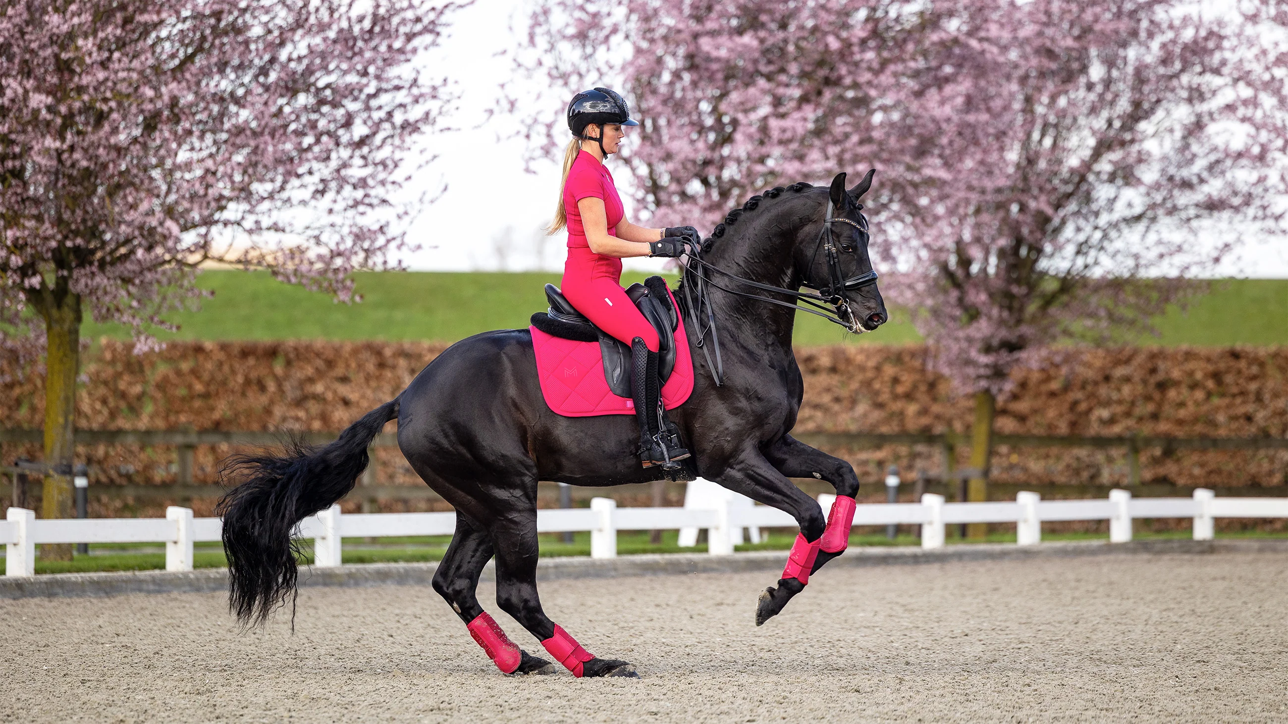 Elite Performance, Masterfully Tailored