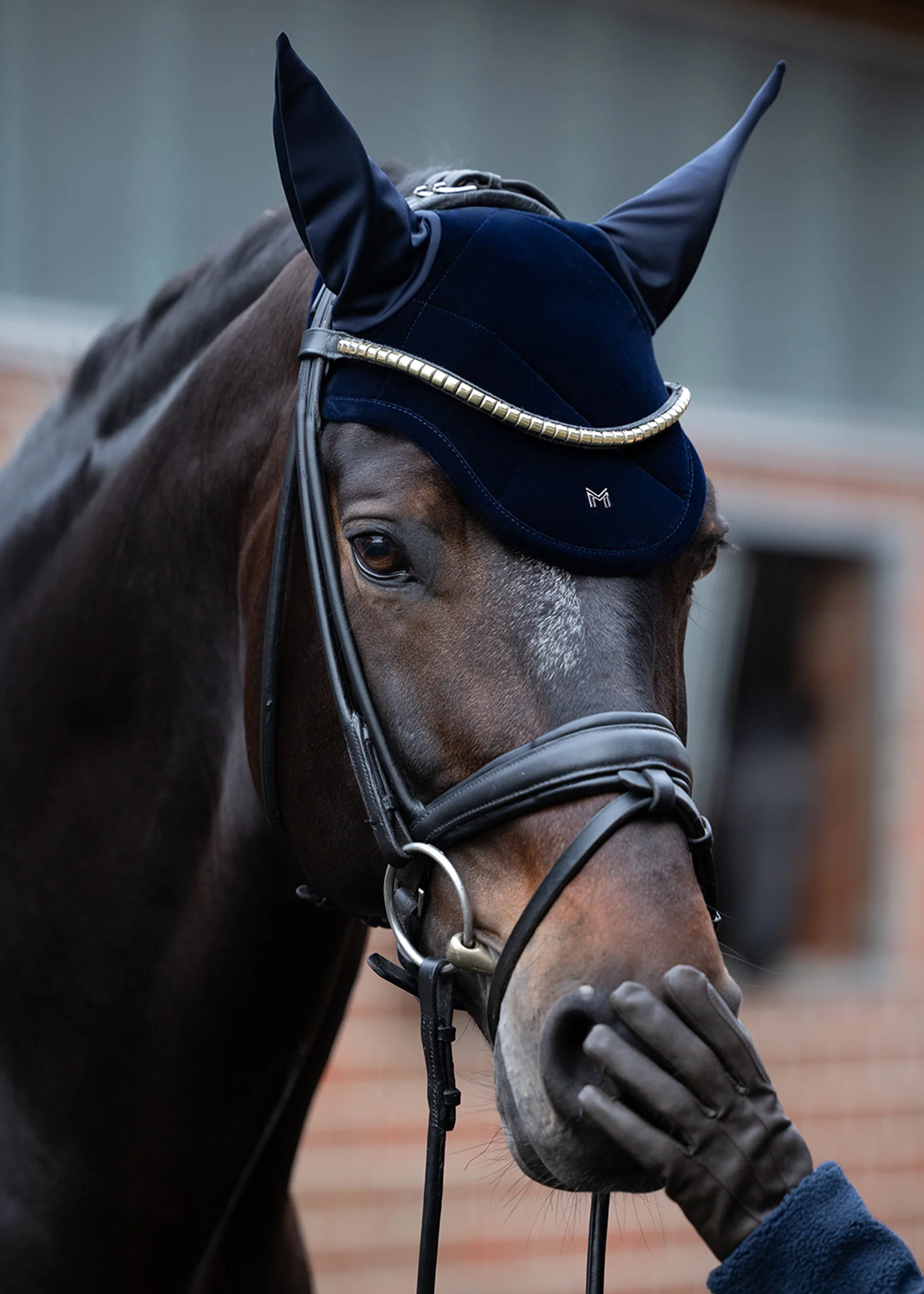 Velvet Dressage Saddle Pad (Sapphire) - Image 4