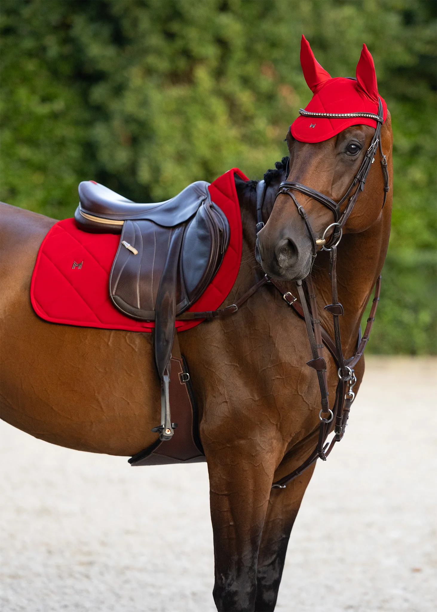 Velvet Ear Bonnet (Crimson) - Image 3